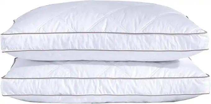 2 x Premium King Size Pillow with free 2 x King pillow cases