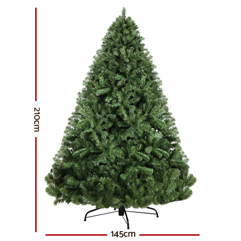 Premium Christmas Tree (1250 Tips) | 2.1M