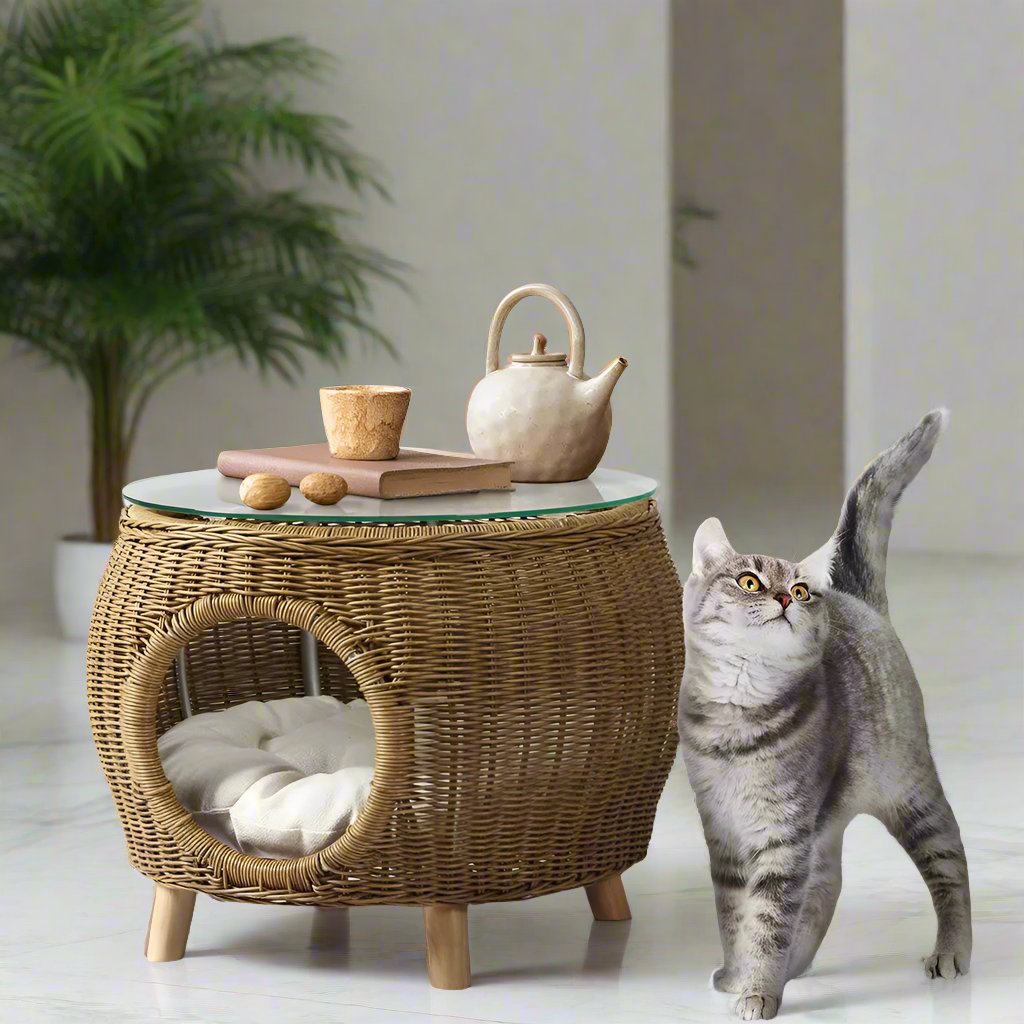 Tropical Haven 2-in-1 Wicker Coffee Table with Pet Bed